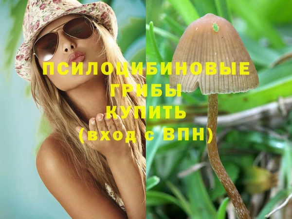 тгк Белокуриха