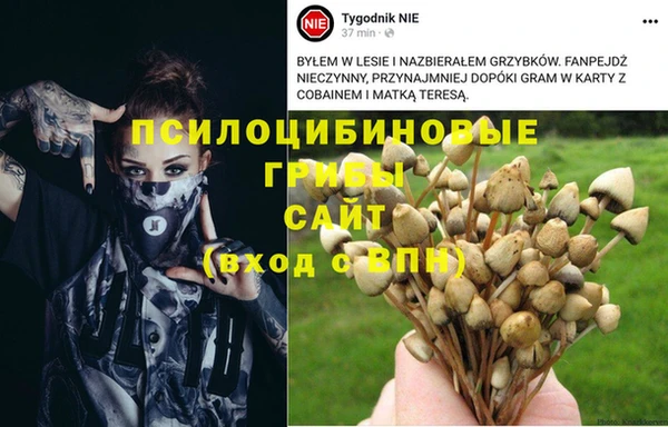 тгк Белокуриха