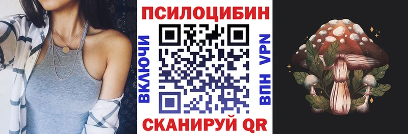 Галлюциногенные грибы Psilocybine cubensis Купить закладки Щёкино